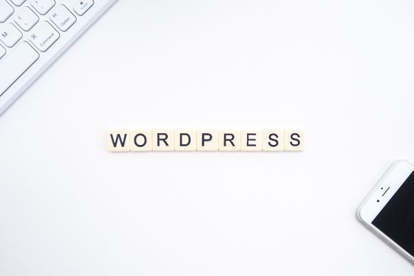 Top Rated WordPress Development Training In Uyo