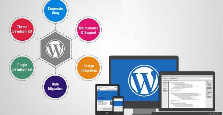 Best Wordpress Development Training in Uyo