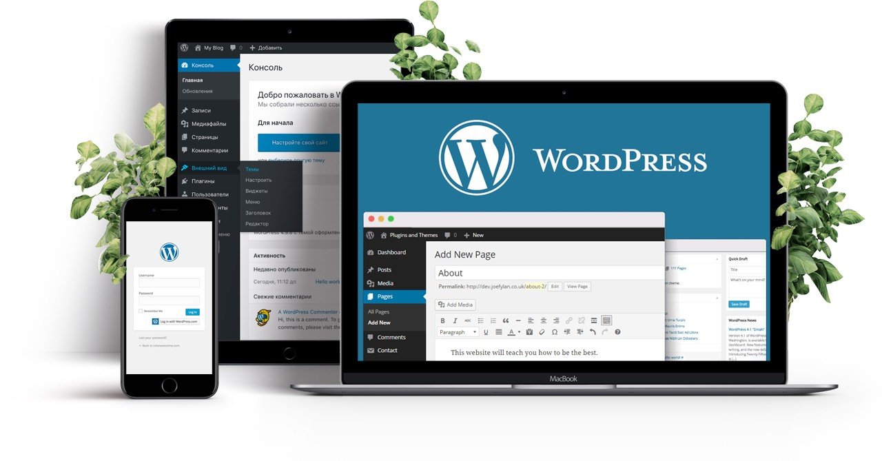 Top Rated Wordpress Design in Uyo